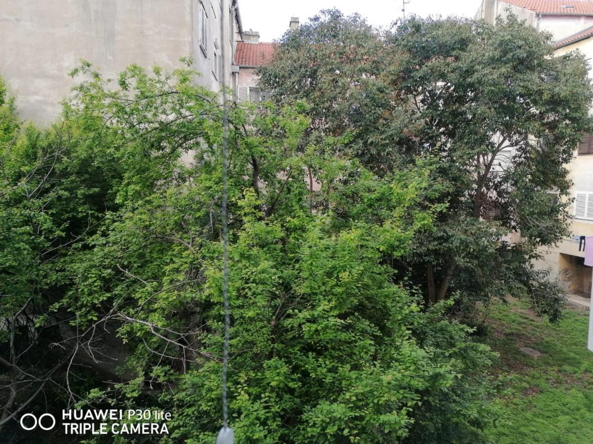 Apartment Linda - Zadar City Center المظهر الخارجي الصورة